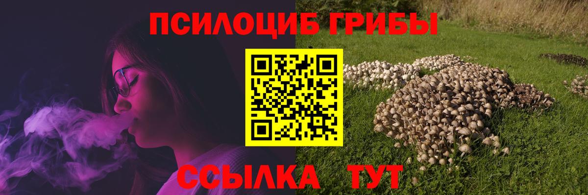 Галлюциногенные грибы прущие грибы Ялуторовск