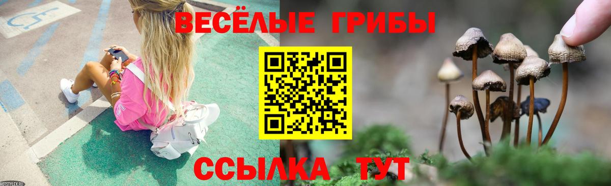 Ялуторовск  Галлюциногенные грибы прущие грибы  Вход с VPN 